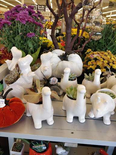 Grocery Store «Albertsons», reviews and photos, 715 12th Ave S, Nampa, ID 83651, USA