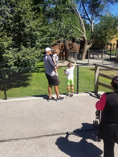 Zoo «Capron Park Zoo», reviews and photos, 201 County St, Attleboro, MA 02703, USA