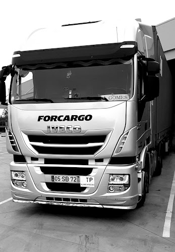Forcargo Transportes SA - Serviço de transporte