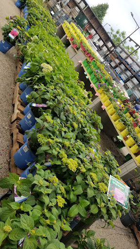 Home Improvement Store «Menards», reviews and photos, 6401 Grand Ave, Gurnee, IL 60031, USA