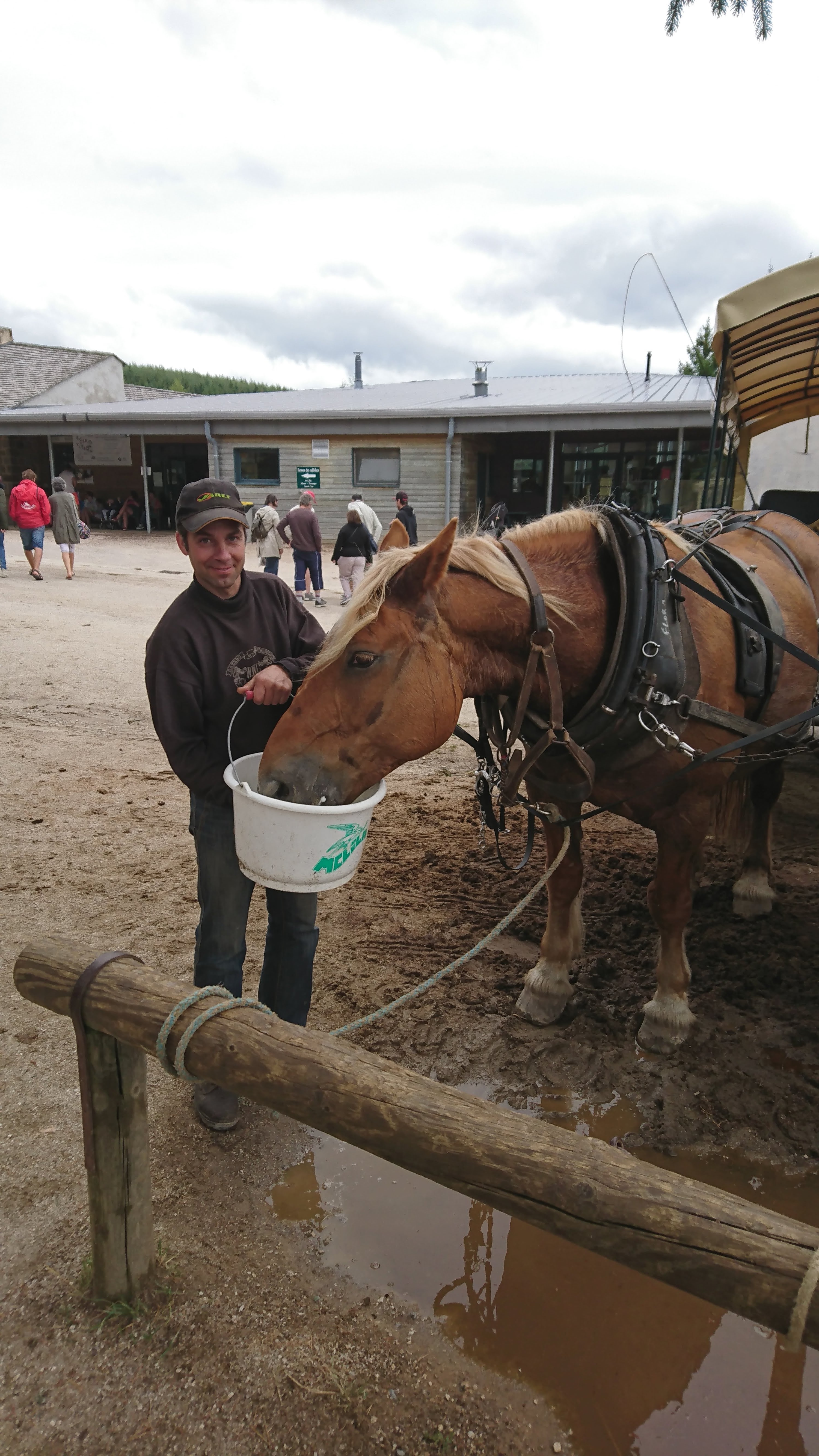 Photo n° 10 de l'avis de Bernard.l fait le 16/08/2019 à 10:01