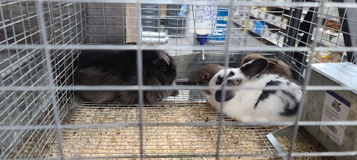 Department Store «Rural King», reviews and photos, 801 Cr-1510-10, Owensboro, KY 42303, USA