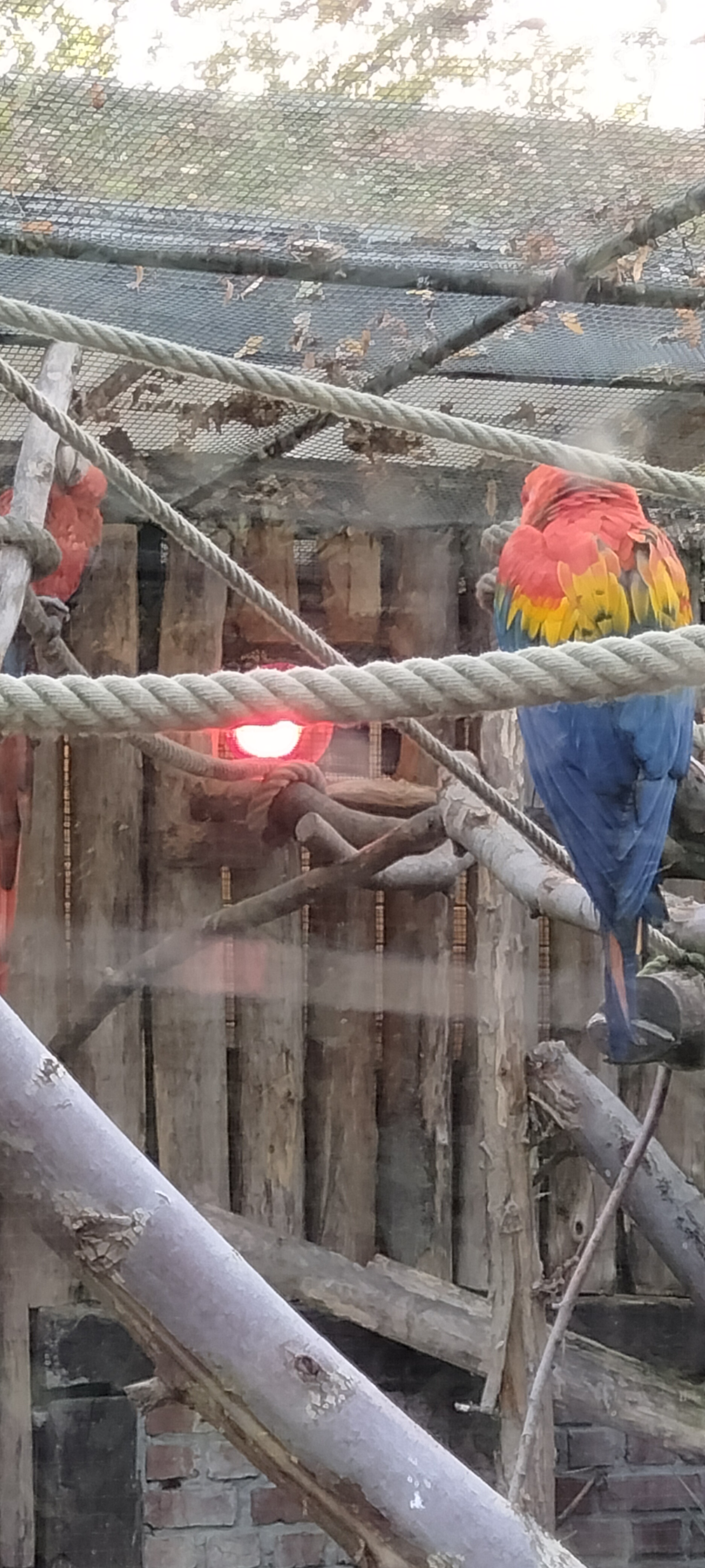 Photo n° 1 de l'avis de Sylvie.U fait le 07/11/2022 à 08:33