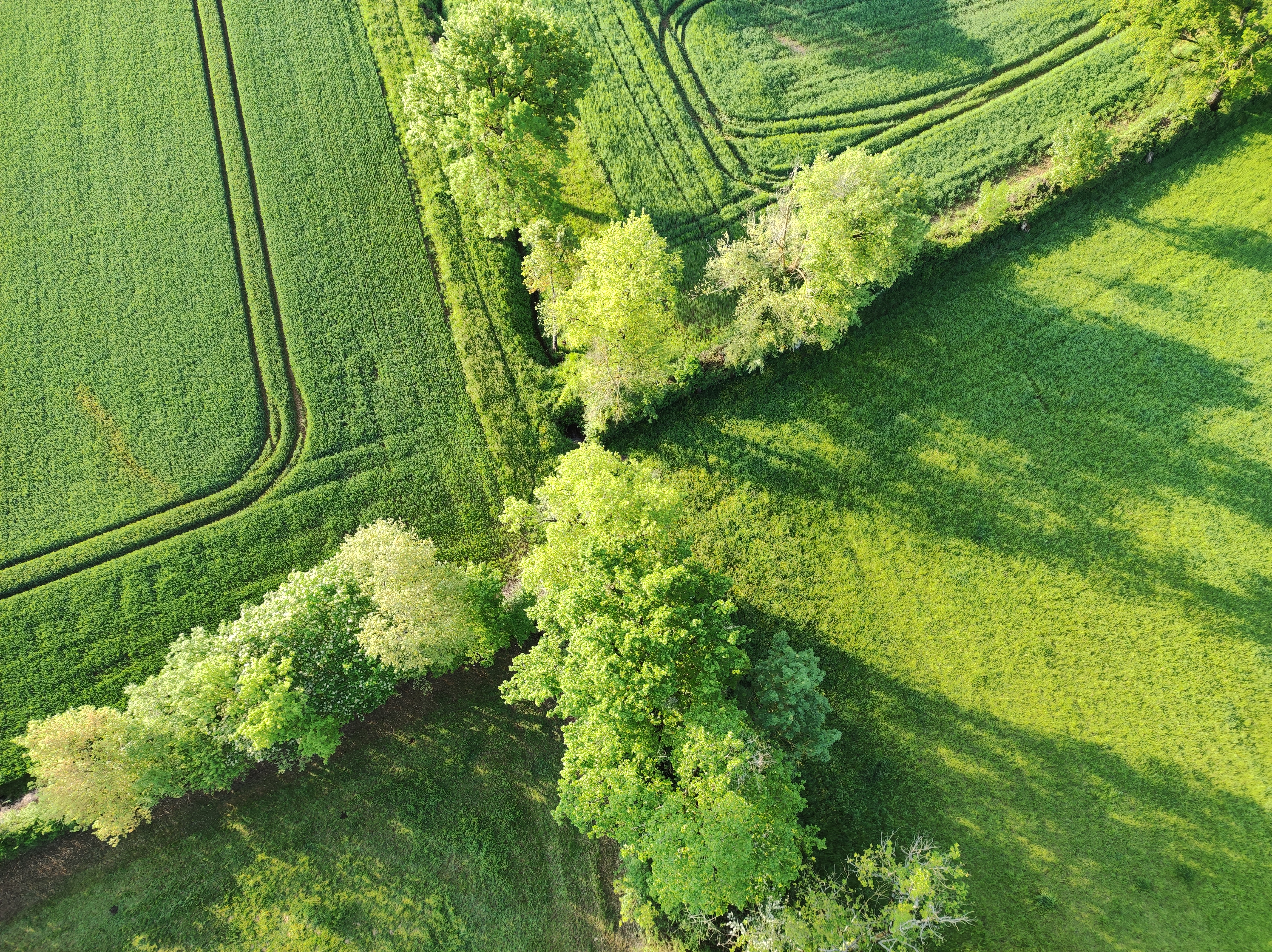 Photo n° 1 de l'avis de Tiphaine.h fait le 08/05/2022 à 10:10