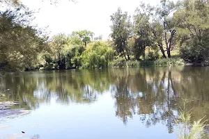 Blue Hole Picnic Area image