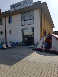 Pesci Camping Store