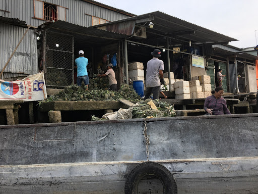 Top 16 1 password cửa hàng Huyện Cái Bè Tiền Giang 2022