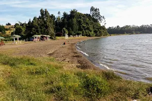 Playa Las Chasquillas image