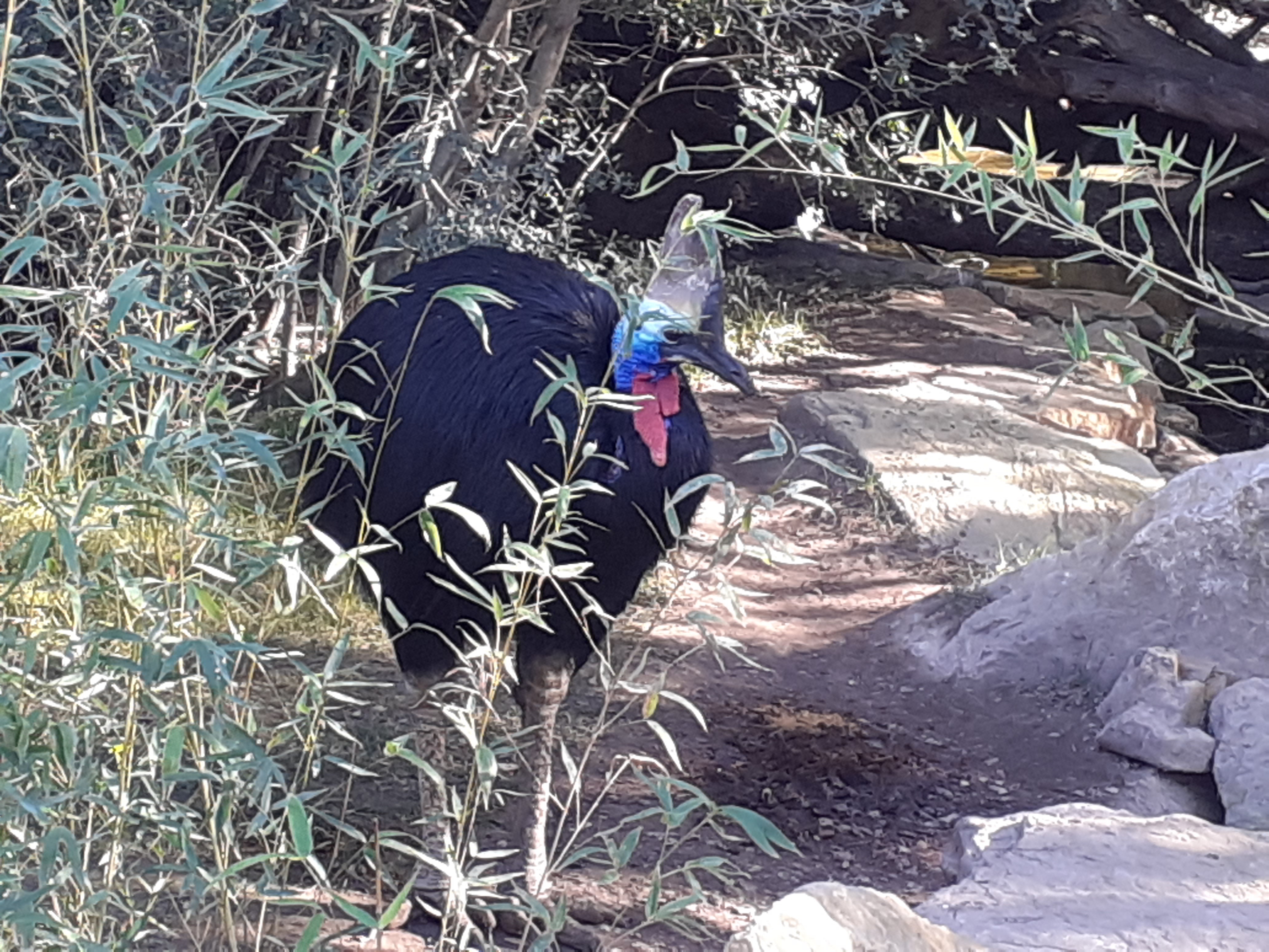 Photo n° 31 de l'avis de Abdelhamid.L fait le 22/02/2024 à 20:52