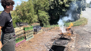 Photo n°25 de Le Parc des Graves à Mornac-sur-Seudre ()