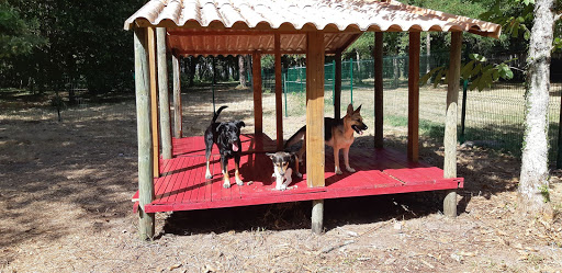 Educ'ilibre - Éducateur canin et comportementaliste à Gauriaguet, Gironde