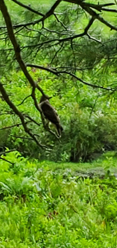 Golf Club «Butter Brook Golf Club», reviews and photos, 157 Carlisle Rd, Westford, MA 01886, USA