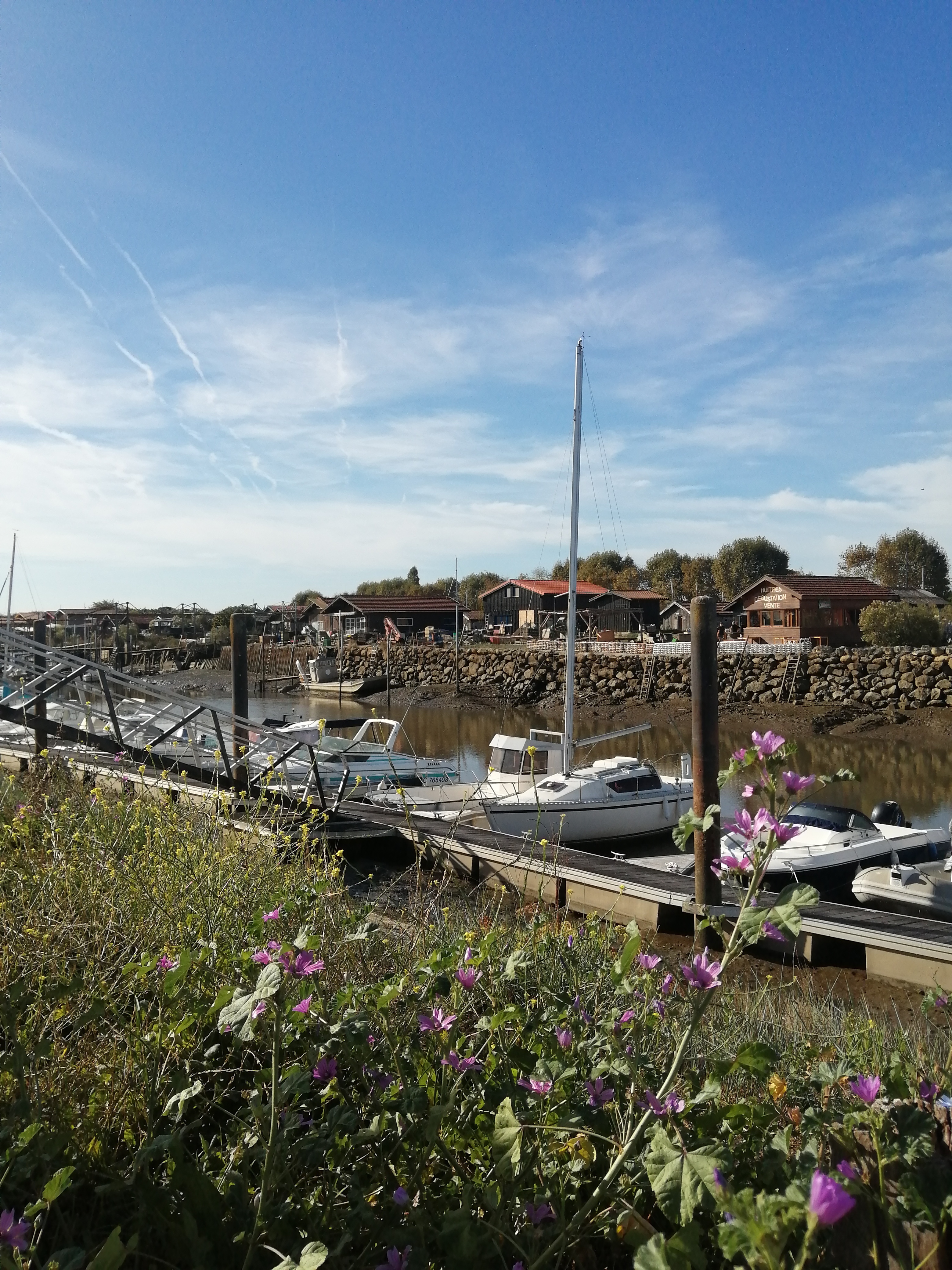 Photo n° 2 de l'avis de Perrine. fait le 24/10/2023 à 14:38