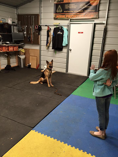 Priory K9 Training & Kennels