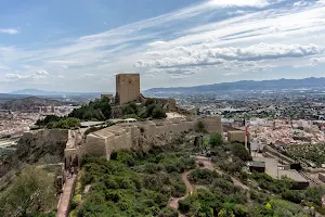 Torre Alfonsina image