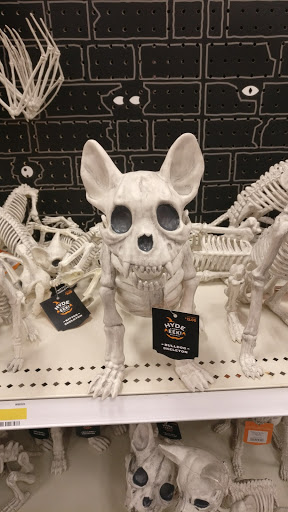 Department Store «Target», reviews and photos, 3770 N Goldenrod Rd, Winter Park, FL 32792, USA