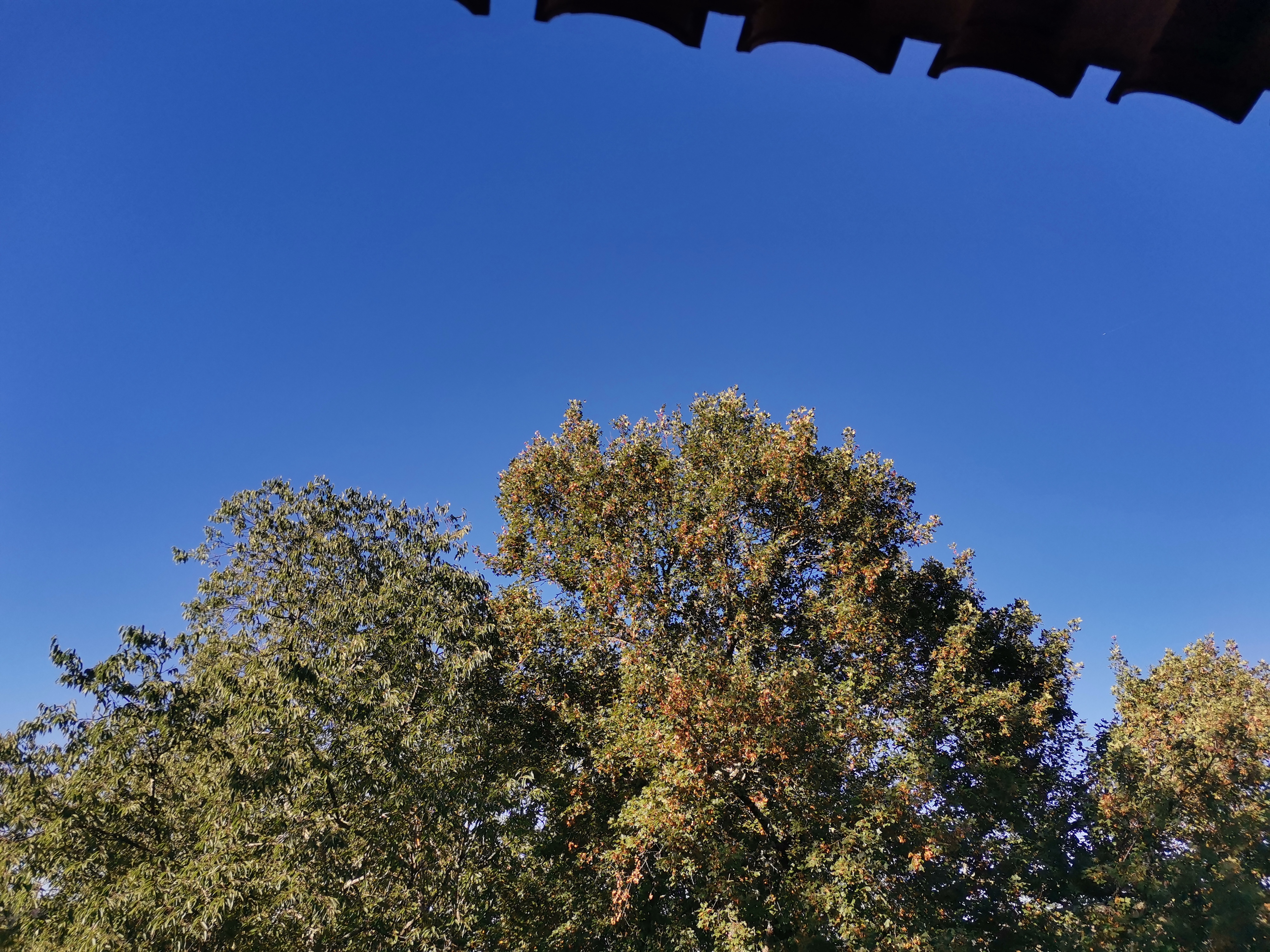 Photo n° 1 de l'avis de Thomas.o fait le 04/08/2022 à 16:39