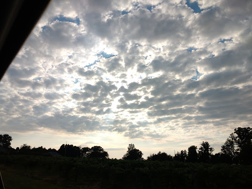 Park «Shades Beach Park», reviews and photos, 7000 E Lake Rd, Erie, PA 16511, USA