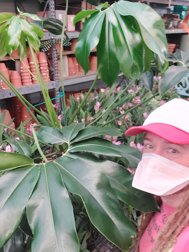 Hardware Store «Proctor Ace Hardware», reviews and photos, 1281 Atlantic Blvd, Neptune Beach, FL 32266, USA