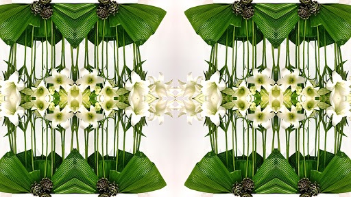 Florist «Amazing Flowers Miami», reviews and photos, 252 Sunny Isles Blvd #2b, Sunny Isles Beach, FL 33160, USA