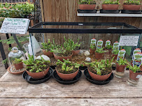 Akin's Nursery & Landscaping, LLC - Photo 9 - Car repair in Shreveport, LA, Shreveport