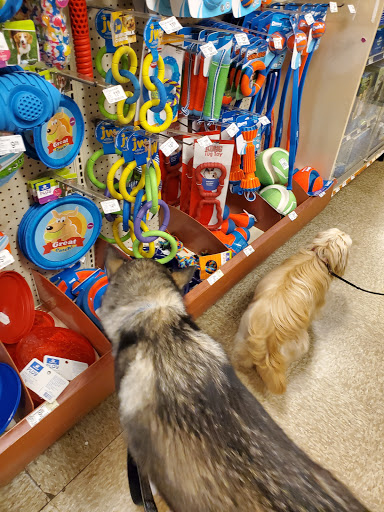Pet Supply Store «PetSmart», reviews and photos, 5214 Blanche Moore Dr, Corpus Christi, TX 78411, USA