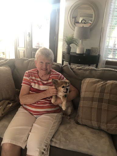 Butcher Shop «City Butcher and Barbecue», reviews and photos, 3650 S Campbell Ave, Springfield, MO 65807, USA