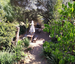 Olive 'n Twist photo
