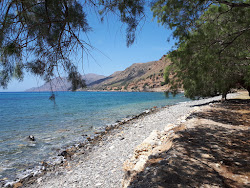 Nopigia Beach'in fotoğrafı ve güzel manzarası