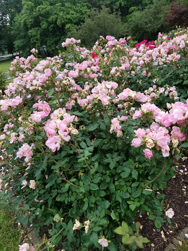 Park «Brookdale Park», reviews and photos, 473 Watchung Ave, Bloomfield, NJ 07003, USA