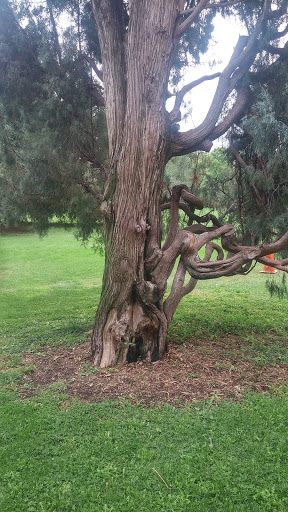 Park «Observatory Park», reviews and photos, 2100 S Fillmore St, Denver, CO 80210, USA