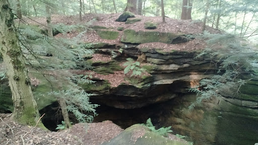 Vista Point «Ledges Overlook», reviews and photos, 405 Truxell Rd, Peninsula, OH 44264, USA