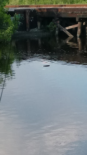 Recreation Center «Gardenville Recreation Center», reviews and photos, 6215 Symmes Rd, Gibsonton, FL 33534, USA