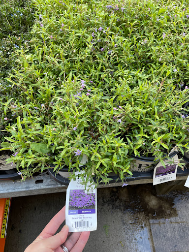 Home Improvement Store «The Home Depot», reviews and photos, 5410 Perkiomen Ave, Reading, PA 19606, USA