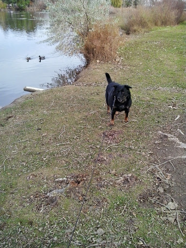 Park «Harvey Park», reviews and photos, 2120 S Tennyson Way, Denver, CO 80219, USA