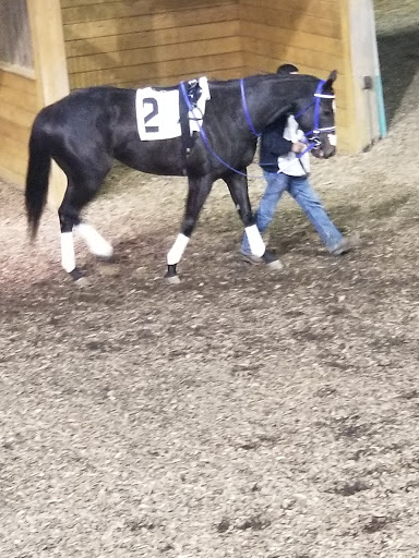 Casino «Hollywood Casino at Charles Town Races», reviews and photos, 580 E 5th Ave, Ranson, WV 25438, USA