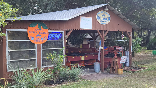 Farm «Butrico Groves Orange Grove», reviews and photos, 6065 Magnolia St, Mims, FL 32754, USA