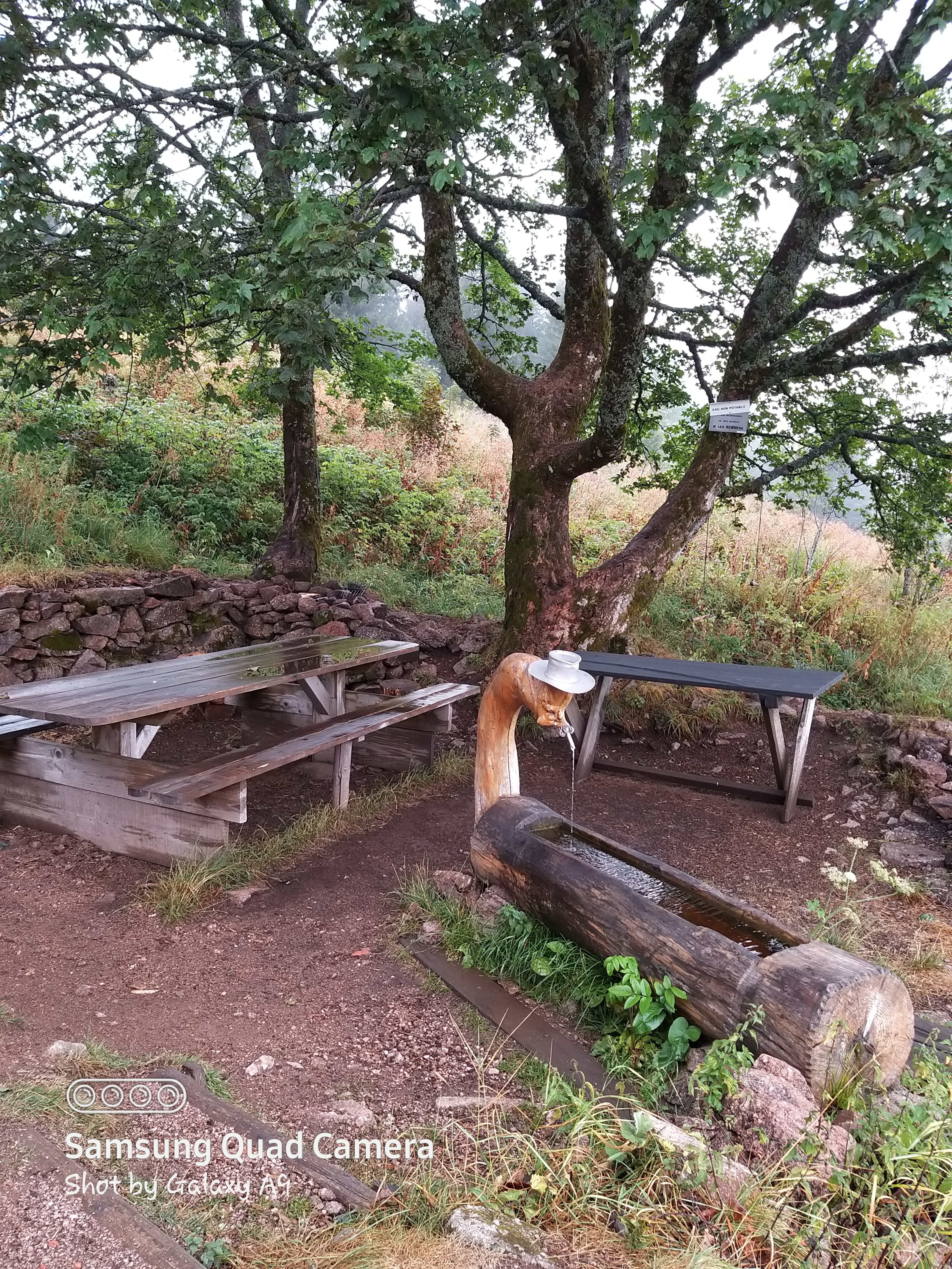 Photo n° 1 de l'avis de Sabrina.e fait le 29/08/2020 à 14:29