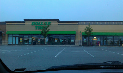 Dollar Store «Dollar Tree», reviews and photos, 14002 Hoard Dr #400, Noblesville, IN 46060, USA