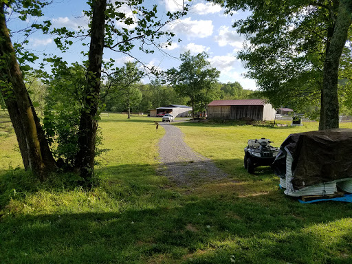 Tourist Attraction «Cactus Creek», reviews and photos, 1956 Yellow Creek Rd, Dickson, TN 37055, USA