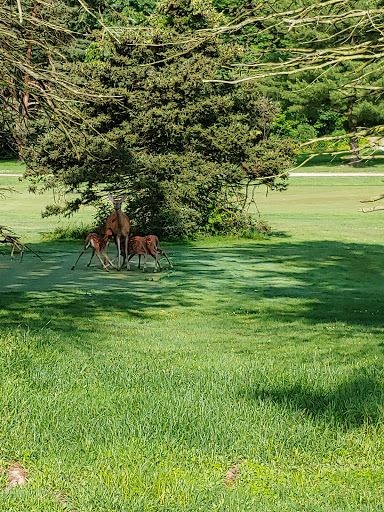 Golf Course «Little Met Golf Course», reviews and photos, 18599 Old Lorain Rd, Cleveland, OH 44135, USA