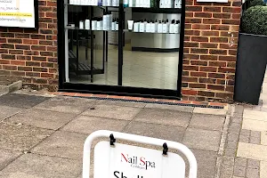 Nail spa Cobham image