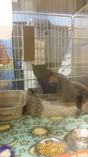 Pet Supply Store «PetSmart», reviews and photos, 7 U.S. 9, Manalapan Township, NJ 07726, USA