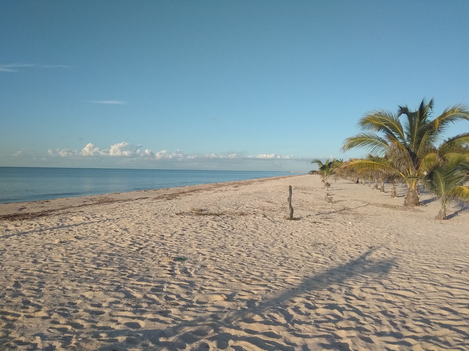 Foto van Campamento Tortuguero met ruim strand