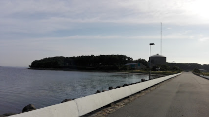 Risø Havn