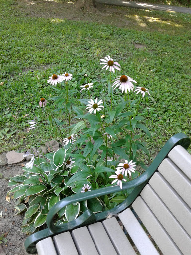 Dog Park «Brookdale Dog Park», reviews and photos, W Circuit Dr, Montclair, NJ 07043, USA