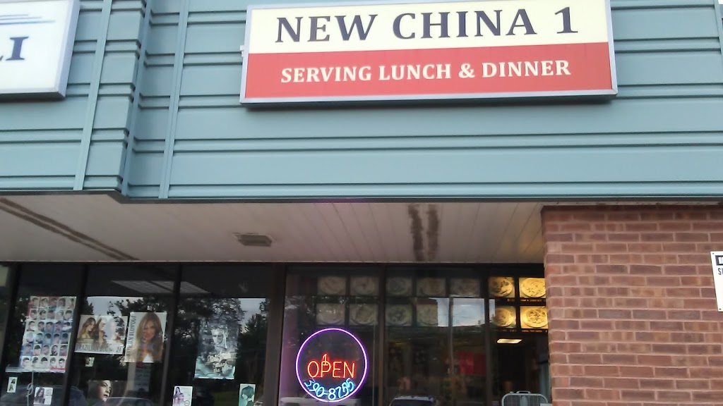 New China 1 Chinese Restaurant 60068