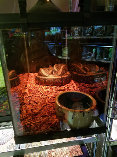 Pet Supply Store «Pure Paradise Pets», reviews and photos, 39 Putnam Pike, Johnston, RI 02919, USA