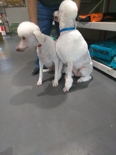 Pet Groomer «Pet Choice», reviews and photos, 4203 MacArthur Blvd, Oakland, CA 94619, USA