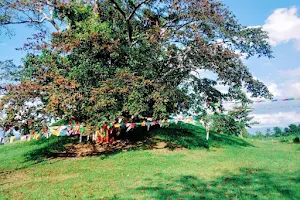 Ramagrama Relic Stupa image